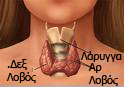 thyroid1.jpg